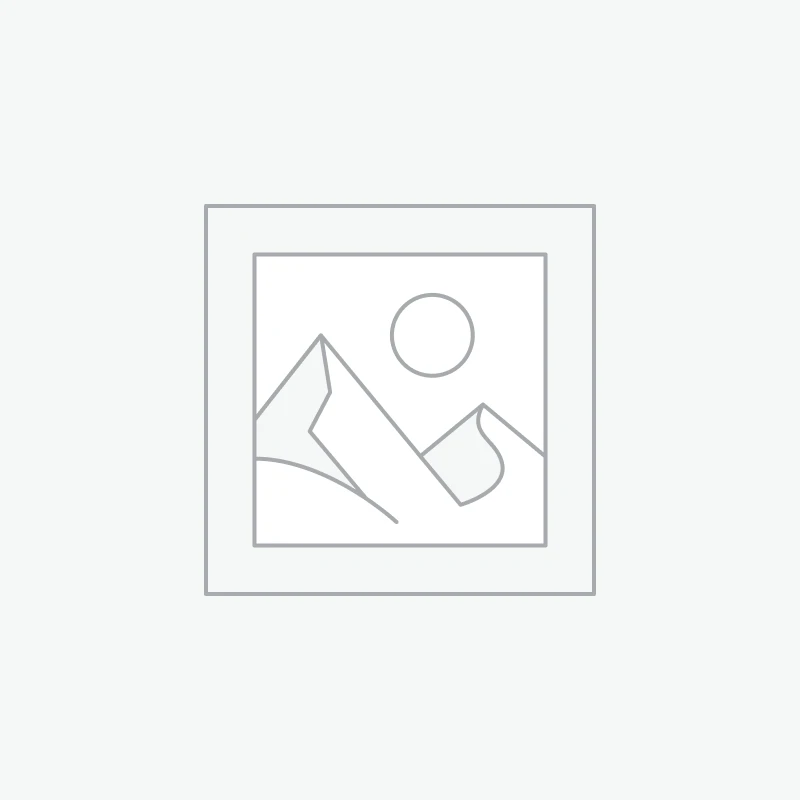 ILS Curse - Vinyl LP (silver | black)