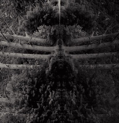 MEMBRANE Reflect Your Pain LP