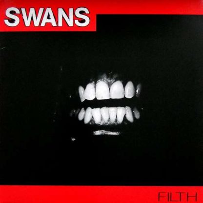 SWANS Filth - Vinyl LP (black)