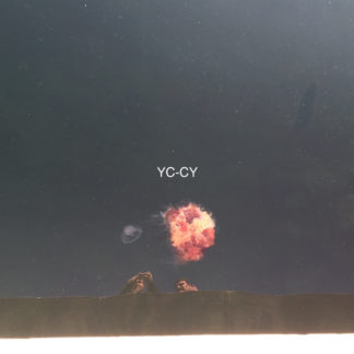 YC-CY Todestanz - Vinyl LP (black)