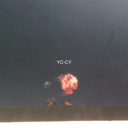 YC-CY Todestanz - Vinyl LP (black)