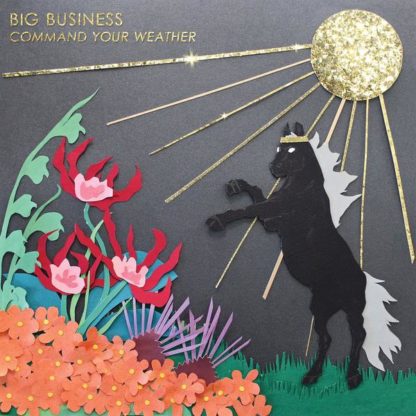 BIG BUSINESS Command Your Weather - Vinyl LP (black)