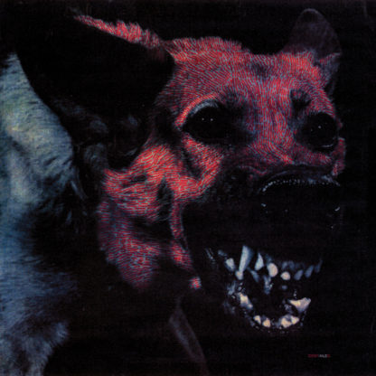 PROTOMARTYR Under Color of Official Right - Vinyl LP (black)