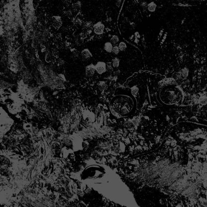 PRIMITIVE MAN / UNEARTHLY TRANCE Split - Vinyl LP (black)