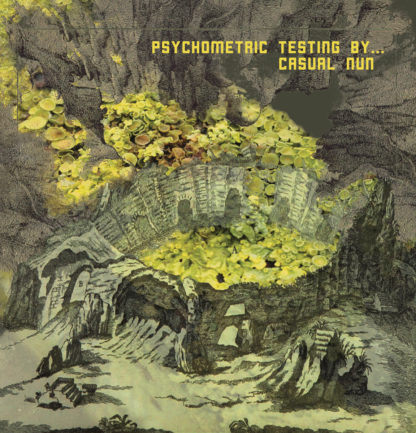 CASUAL NUN Psychometric Testing By​.​.​. - Vinyl LP (black)