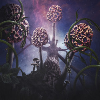 BLUT AUS NORD Hallucinogen - Vinyl 2xLP (purple pink swirl)