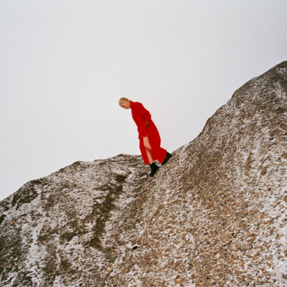 CATE LE BON Reward - Vinyl LP (black)