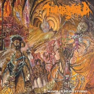 TOMB MOLD Manor Of Infinite Forms - Vinyl LP (neon orange with black smoke)
