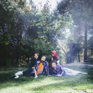 BIG THIEF U.F.O.F. - Vinyl LP (black)