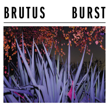 BRUTUS Burst- Vinyl LP (black)