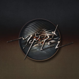 MASERATI Enter The Mirror - Vinyl LP (black)