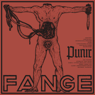 FANGE Punir - Vinyl LP (suze)