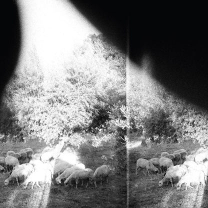 GODSPEED YOU! BLACK EMPEROR Asunder, Sweet And Other Distress - Vinyl LP (black)