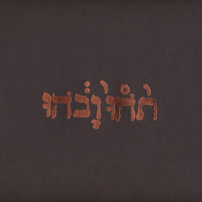 GODSPEED YOU! BLACK EMPEROR Slow Riot for New Zero Kanada - Vinyl LP (black)