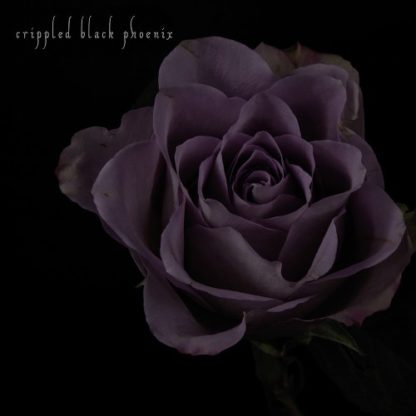 CRIPPLED BLACK PHOENIX Painful Reminder / Dead Is Dead - Vinyl 10" (gold purple marble | black)