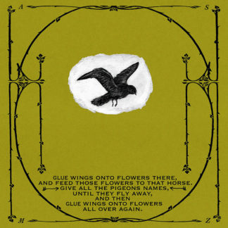THEE SILVER MT. ZION MEMORIAL ORCHESTRA Horses In The Sky - Vinyl 2xLP (black)