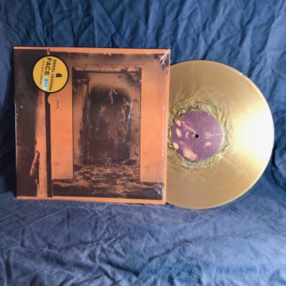 FACS Present Tense - Vinyl LP (molten metal)