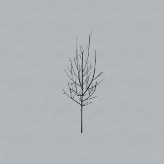 LOW Ones and Sixes - Vinyl 2xLP (black)