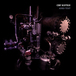 CERF BOITEUX Adieu - Tout - Vinyl 2xLP (black)