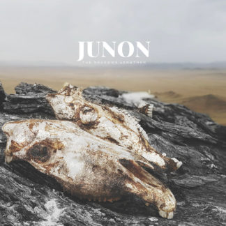 JUNON The Shadows Lengthen - Vinyl LP (blue | yellow)