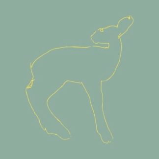 SONGS: OHIA Hecla & Griper - Vinyl LP (black)