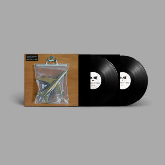 BLACK COUNTRY, NEW ROAD Ants From Up There - Vinyl 2xLP (black)