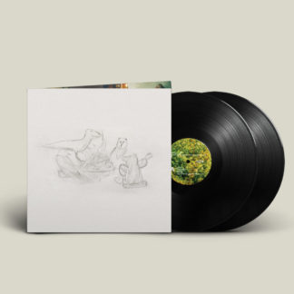 BIG THIEF Dragon New Warm Mountain I Believe In You - Vinyl 2xLP (black)