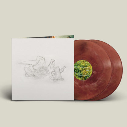 BIG THIEF Dragon New Warm Mountain I Believe In You - Vinyl 2xLP (eco-friendly brown)