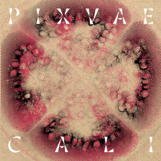 PIXVAE Cali - Vinyl LP (black)