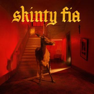 FONTAINES D.C. Skinty Fia - Vinyl (deluxe vinyl 2xLP | black vinyl LP)