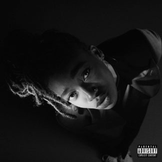 LITTLE SIMZ Grey Area - Vinyl LP (white)