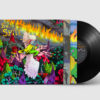 BUILT TO SPILL When The Wind Forgets Your Name - Vinyl LP (black)