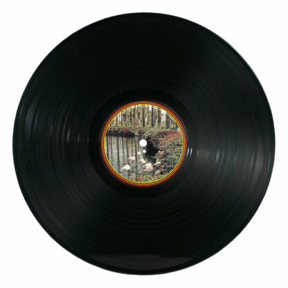BRANT BJORK Brant Bjork And The Operators - Vinyl LP (black)