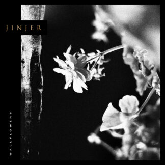 JINJER Wallflowers - Vinyl LP (black)