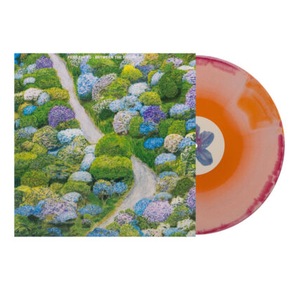 FIDDLEHEAD Between The Richness – Vinyl LP (orange cream red swirl)
