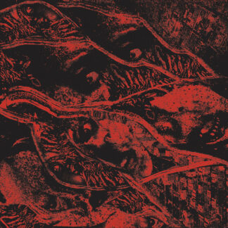 VERMIN WOMB Retaliation - Vinyl LP (red black smoke)