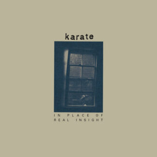 KARATE In Place Of Real Insight - Vinyl LP (indigo die dye)