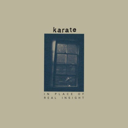 KARATE In Place Of Real Insight - Vinyl LP (indigo die dye)