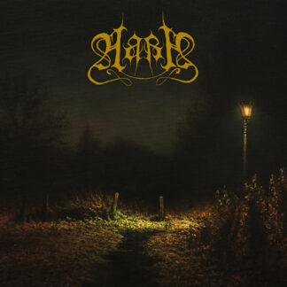 AARA Triade III: Nyx - Vinyl LP (gold black galaxy)