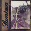 SAMIAM S/t - Vinyl LP (black purple splatter)