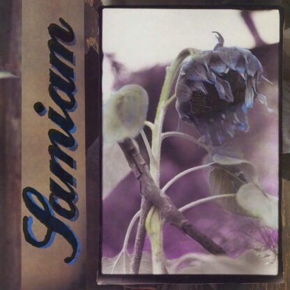 SAMIAM S/t - Vinyl LP (black purple splatter)