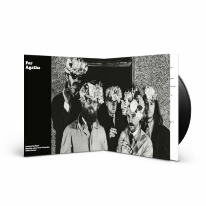 IDLES Joy as an Act of Resistance (5th Anniversary Deluxe Edition) - Vinyl LP (black)