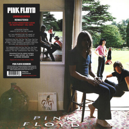 PINK FLOYD Ummagumma - Vinyl 2xLP (black)