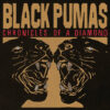 BLACK PUMAS Chronicles Of A Diamond - Vinyl LP (transparent red clear)