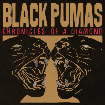 BLACK PUMAS Chronicles Of A Diamond - Vinyl LP (transparent red clear)