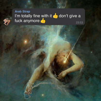 ARAB STRAP I'm totally fine with it 👍 don't give a fuck anymore 👍 - Vinyl LP (black) - Image 2