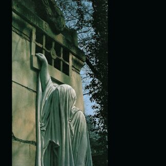 DEAD CAN DANCE Within The Realm Of A Dying Sun - Vinyl LP (black)