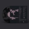 CONTRACTIONS SAVAK Split 12 - Vinyl LP (black)