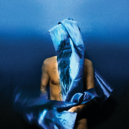 DEVENDRA BANHART Flying Wig - Vinyl LP (opaque blue)