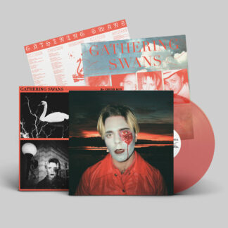 CHOIR BOY Gathering Swans - Vinyl LP (clear red)